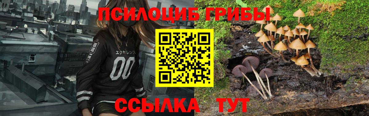Псилоцибиновые грибы мицелий Краснокаменск